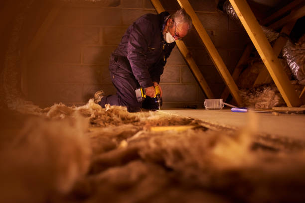 Best Insulation Maintenance and Repair in Brigantine, NJ