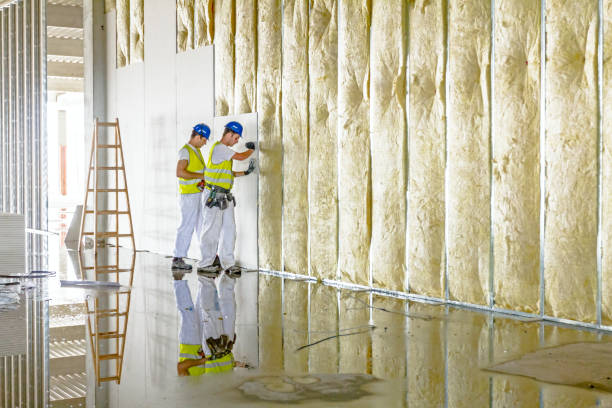Best Insulation Installation Services in Brigantine, NJ